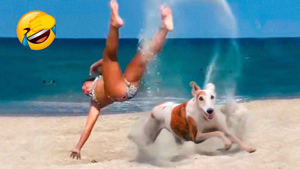AWW SO FUNNY - Super Dogs Reaction Videos